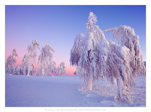 trees winter snow sunrise russia perm whitemountain urals