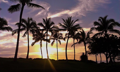 travel sunset vacation sky hawaii dusk lagoon palm koolina htc