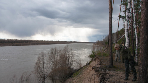river landscape russia irtysh omskayaoblast