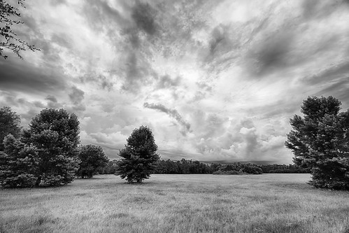 sky blackandwhite bw terrain usa cloud storm tree grass weather landscape unitedstates geneva florida features centralflorida pasturefield