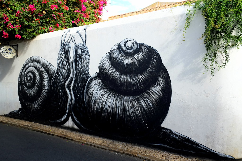 mural | roa | artur festival . lagos . portugal