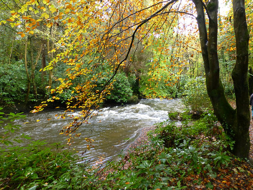 ireland northernireland clareglen river cusherriver tandragee autumn ulster uk