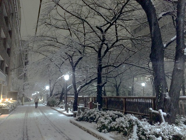 目黒川の雪景色