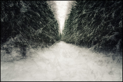 winter snow forest vinter path skog snö stig multiexposure 10x multiexponering