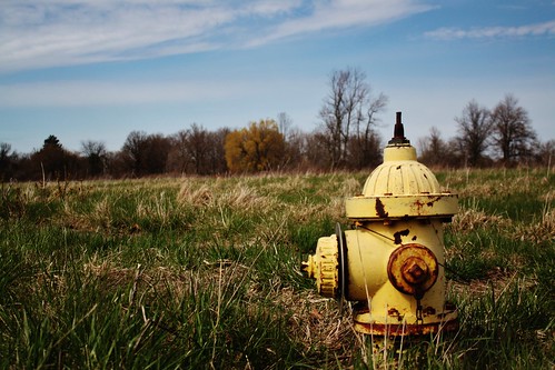 old trees plant ny newyork abandoned broken glass field grass yellow hydrant niagarafalls spring rust sunny partlycloudy lovecanal