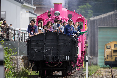 Pink SL at Wakasa Railway (26)