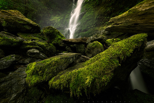 green water waterfall washington moss rocks olympicnationalpark merrimanfalls jasondarr
