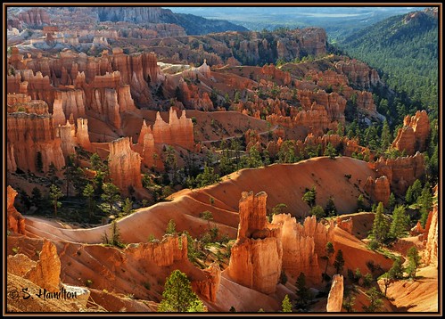 landscape utah rocks desert canyon erosion brycecanyon thegalaxy flickraward absolutelyperrrfect