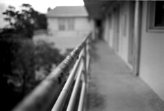 Abandoned Hospital #32  (Leicaflex SL, 35mm Elmarit, Fomapan)