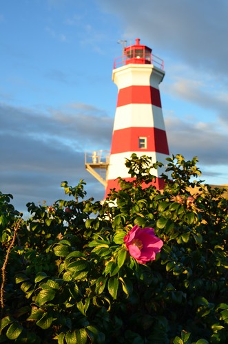 sunset lighthouse novascotia wildrose brierisland