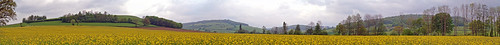 panorama jaune nikon burgundy chateau paysage bourgogne campagne côtedor auxois lantilly nikon1v1