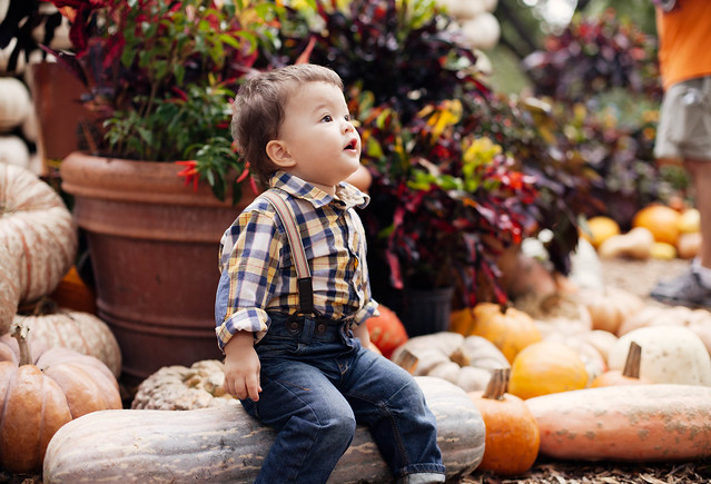 cute & little blog | dylan pumpkin village dallas arboretum 2013