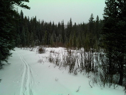scenic trail wyoming snowyrange medicinebownationalforest