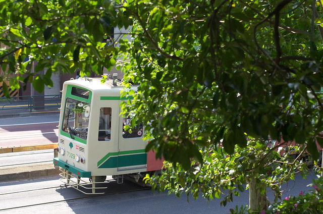 Tokyo Train Story 都電荒川線 2014年5月10日