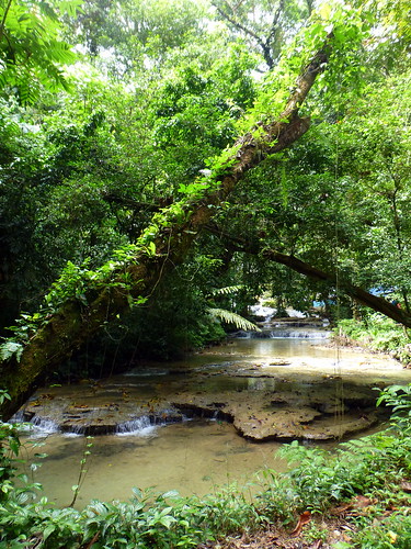 nature forest river indonesia landscape waterfall jungle sulawesi
