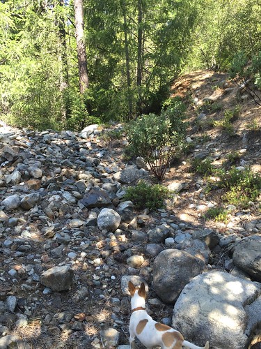 california goldcountry yubariver rockyrest