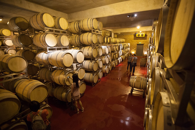 Mendoza - Irresistible Wine Destination