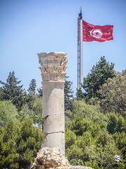 Ruines de Carthage -1-