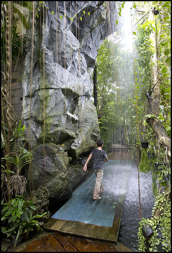Rainforest Waterfall at Phuket Botanic Garden
