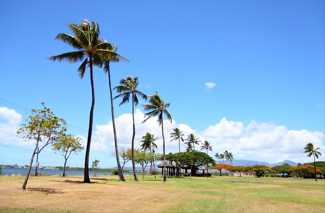 FREE Things to Do with Kids in Hawaii