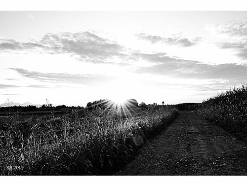 summer bw sunrise landscapes nikon estate alba country bn campagna paesaggi brianza 2011 lentatesulseveso copreno d3100