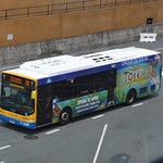Brisbane Transport 1309