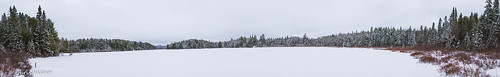 park trees winter panorama lake snow ontario canada wide evergreen algonquin cache provincial