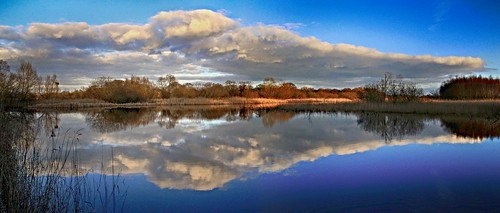 panorama cloud reflection nature water skyscape landscape somerset panoramic february wetland nnr nationalnaturereserve shapwickheath