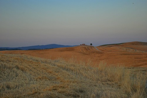 sunset summer italy night nikon italia tramonto estate hill clear toscana colline cretesenesi mucigliani tuscanynikond60