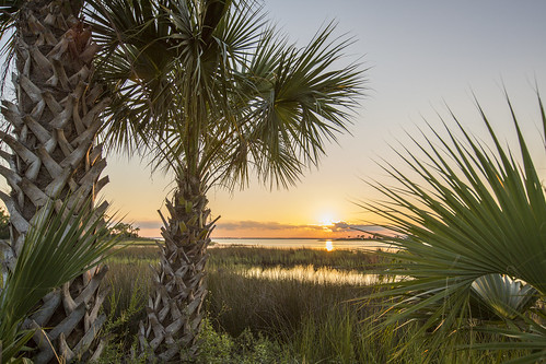 Sunset Palms Bay