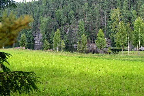 summer lake forest finland geotagged july shore fin ph keskisuomi 2011 viitasaari 201107 20110726 geo:lat=6309429200 geo:lon=2596498500 kymönjärvi