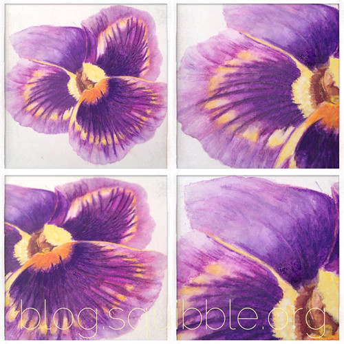 squibble_design_pansy_painting_week4_5