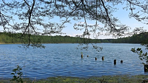 lake poland polska polen lubuskie