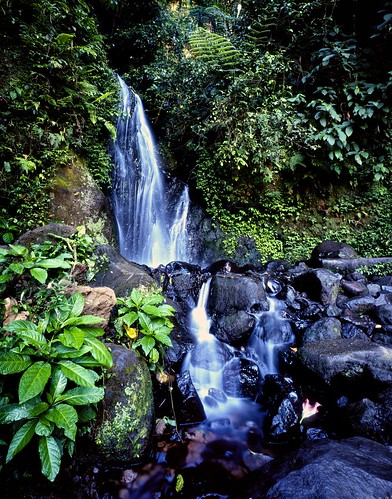 indonesia cianjur westjawa cibogowaterfall nationalparkofmountgedepangrango