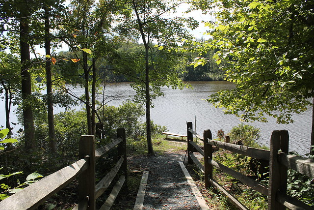 Fishing area at Bear Creek Lake State Park, Virginia