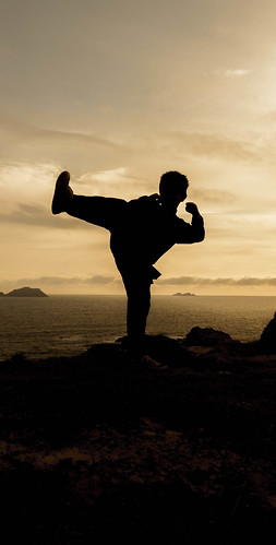 sunset people sun male men art nature silhouette sport pose person fight fighter sundown exercise cloudy action martial kick body leg lifestyle east demonstration master karate health edge harmony warrior kung fu combat limb stunt active mental skill