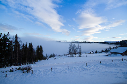 winter snow nature norway fog vinter natur snø tåke hallingdal nesbyen bøgaset