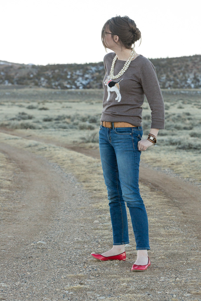 Fox terrier, never fully dressed, withoutastyle, sweater, joules, dog,wyoming,