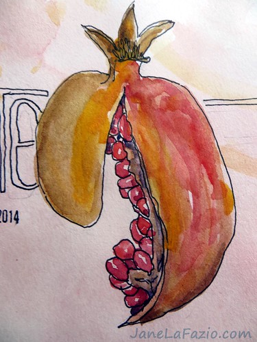 Pomegrantes ~ from my sketchbook