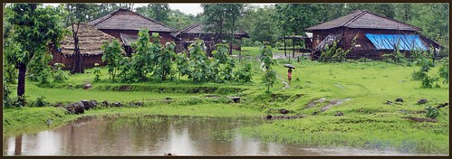 Adivasi village