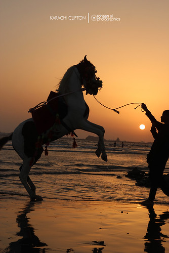 sunset horse beach beauty up silhouette seaside legs ali karachi clifton sindh photographics rohaan