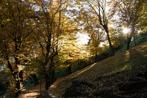 autumn austria graz