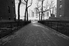 Brooklyn Promenade Path