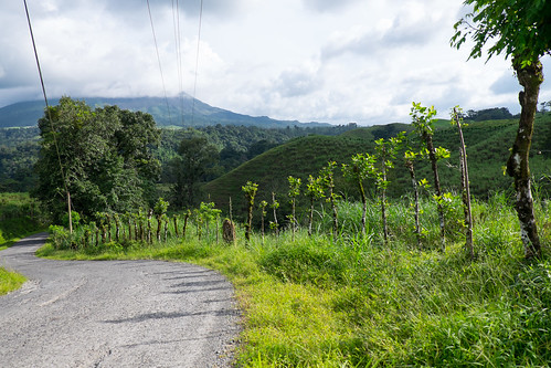 road costarica lush alajuela lafortuna greengrass
