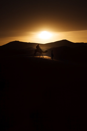 africa sahara night sunrise desert camel morocco