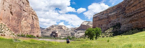 travel flowers blue vacation panorama green love colors grass clouds river utah spring big sandstone colorado rocks stitch outdoor pano large panoramic canyon cliffs greenriver huge wildflowers geology echopark dinosaurnationalmonument memorialday geologyrocks memorialdayweekend yampariver bigscale canyonwallstrees