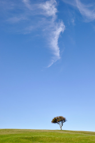 travel blue sky cloud tree green bondi composition nikon oz sydney australia nsw newsouthwales australien bondibeach downunder northbondi d90