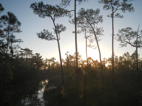 water sunrise florida swamp watershed everglades nationalparks swampbuggy acquifer thingstpdoinflorida