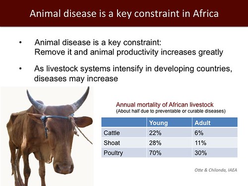Animal disease is a key constraint in Africa