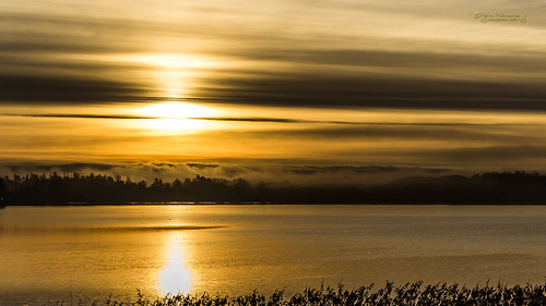 orange yellow norway fog sunrise tønsberg tåke morningmist moist soloppgang vestfold visitnorway træla trælenorgodden normannphotography
